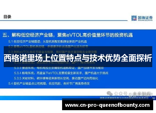 西格诺里场上位置特点与技术优势全面探析