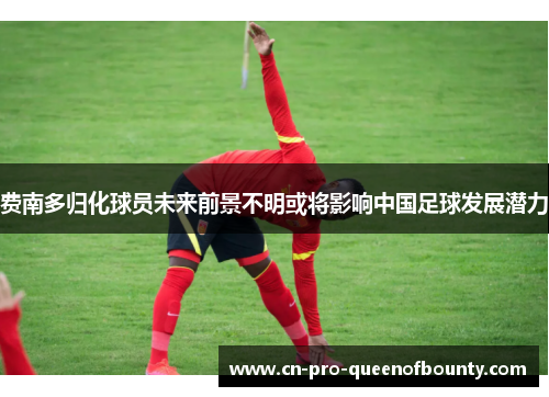 费南多归化球员未来前景不明或将影响中国足球发展潜力 费南多归化球员未来前景不明或将影响中国足球发展潜力