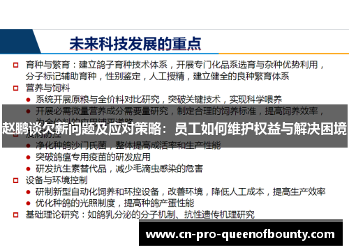 赵鹏谈欠薪问题及应对策略：员工如何维护权益与解决困境