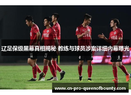 辽足保级黑幕真相揭秘 教练与球员涉案详细内幕曝光
