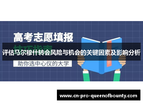 评估马尔穆什转会风险与机会的关键因素及影响分析